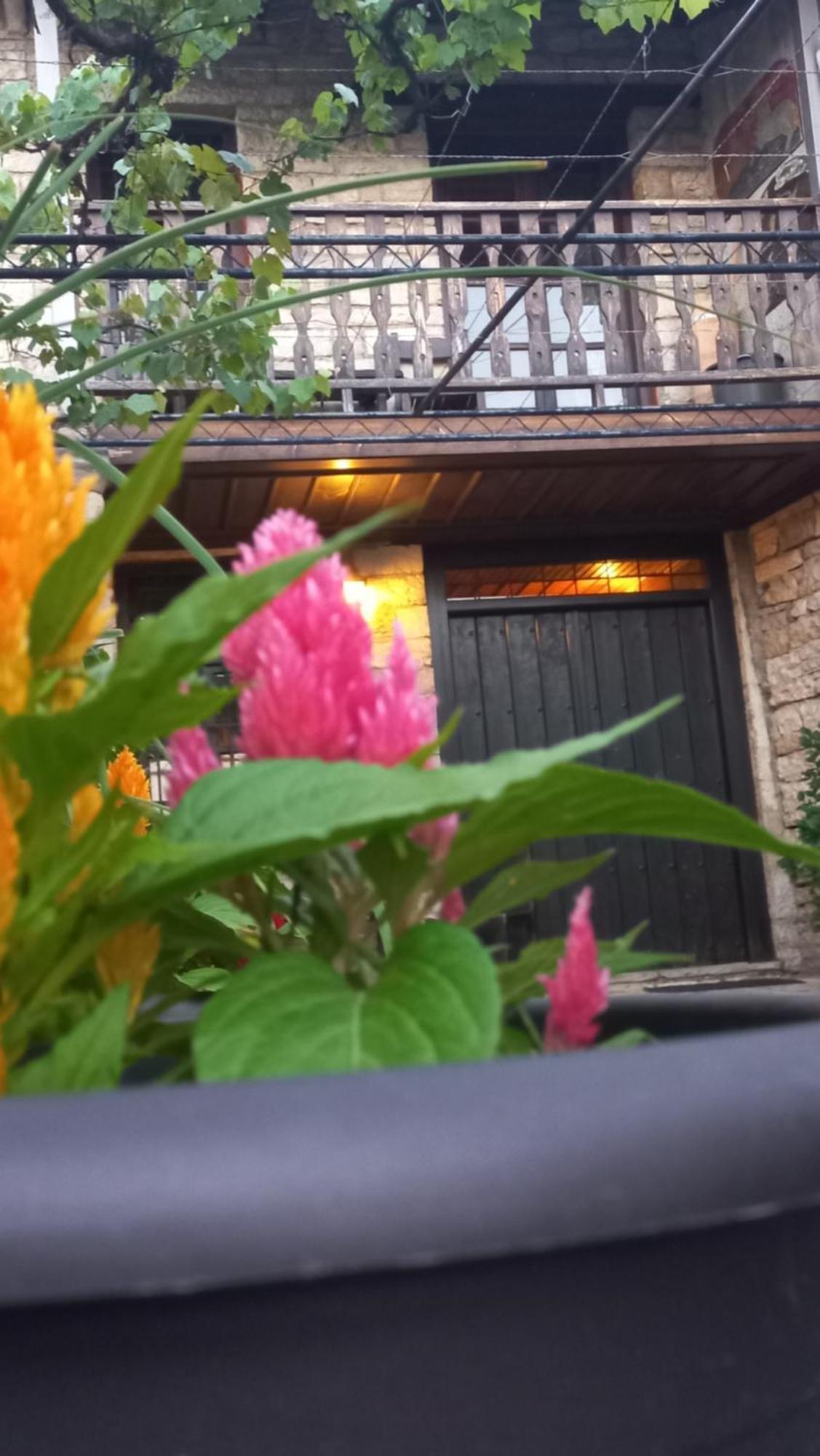 Guesthouse Selini Vitsa Exterior foto
